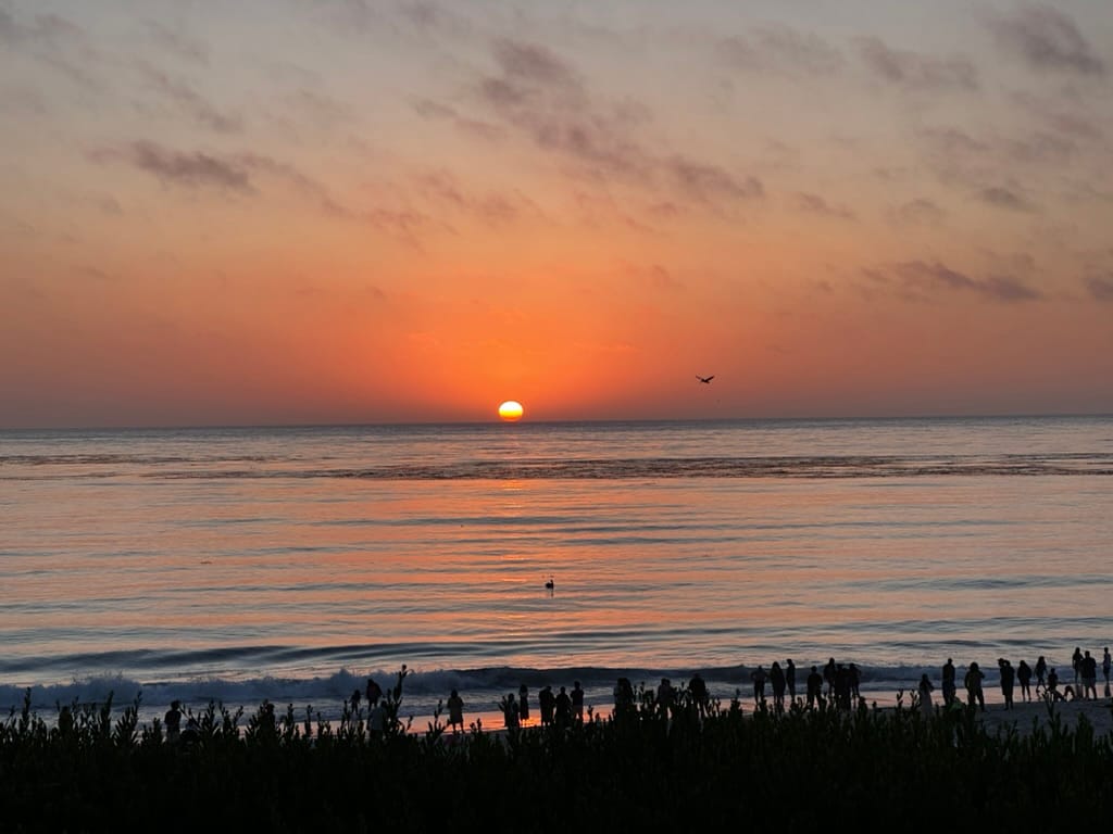 Yafes | AppSec/Privacy & Network Security