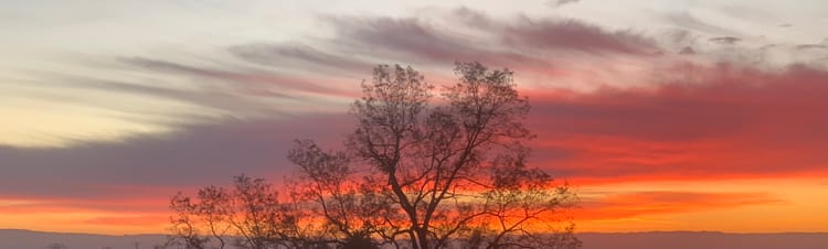 StokumNET Security Roadmap: From Foundation to Enterprise-Grade