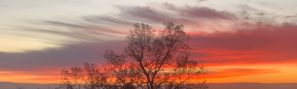 StokumNET Security Roadmap: From Foundation to Enterprise-Grade